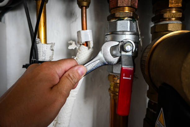 Best Sewer Line Repair  in Richton, MS